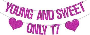 17th Birthday Decorations for Girls - Young and Sweet Only 17 Banner - Young and Sweet Only 17 Birthday Decorations Rose Red