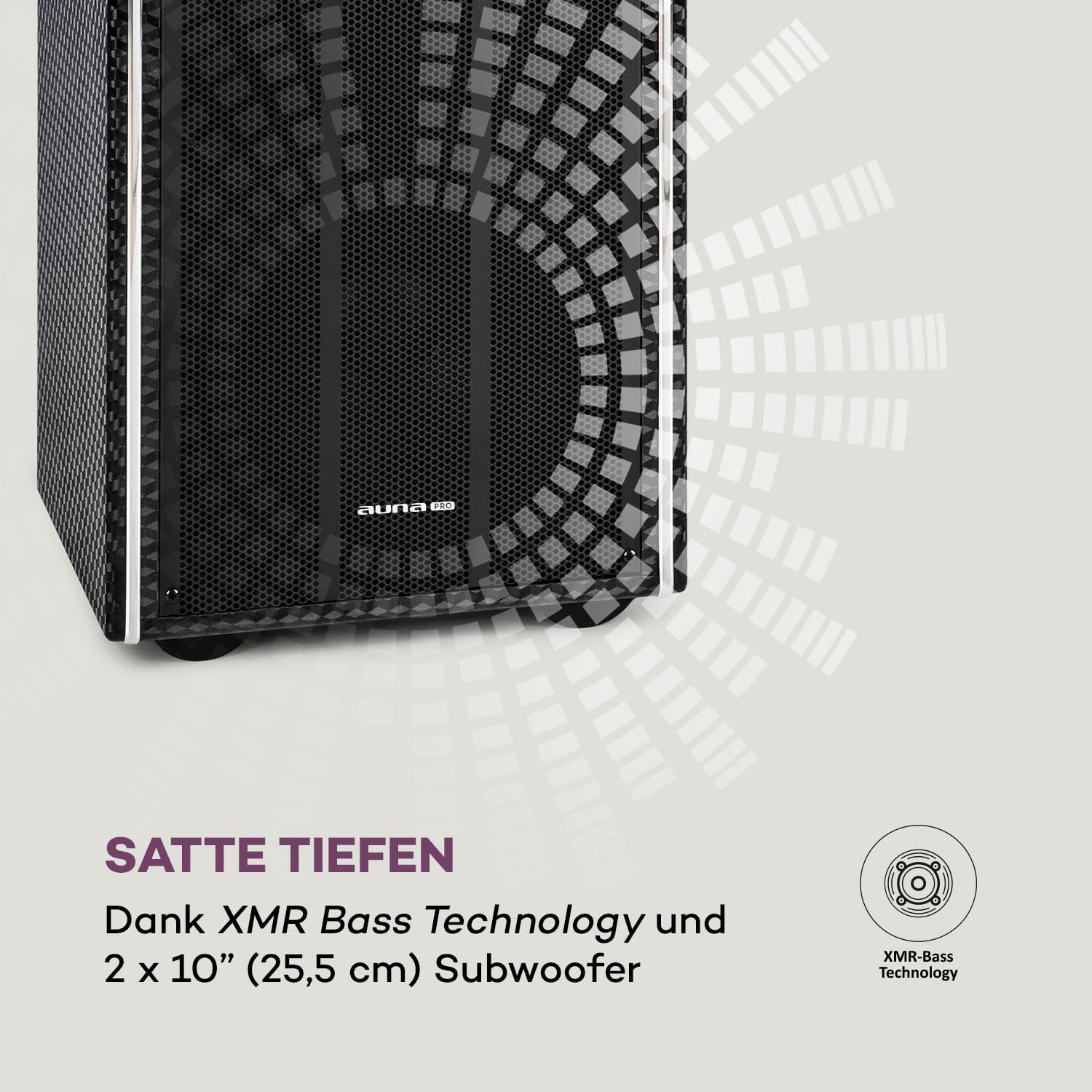 auna Pro DisGo Box 2100 DVD Mobile PA-Anlage, 300 W max., 9" (23 cm) TFT-Display, DVD-Player, 2 x 10 (25,5 cm) Subwoofer, Bluetooth-Funktion, XMR Bass Technology, drahtloses UHF-Mikrofone, anthrazit