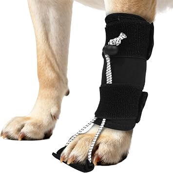 Dog Knuckling Brace, Dog Toe Grips for Wrist Arthritis, Wrist Dislocation, Front Legs, L