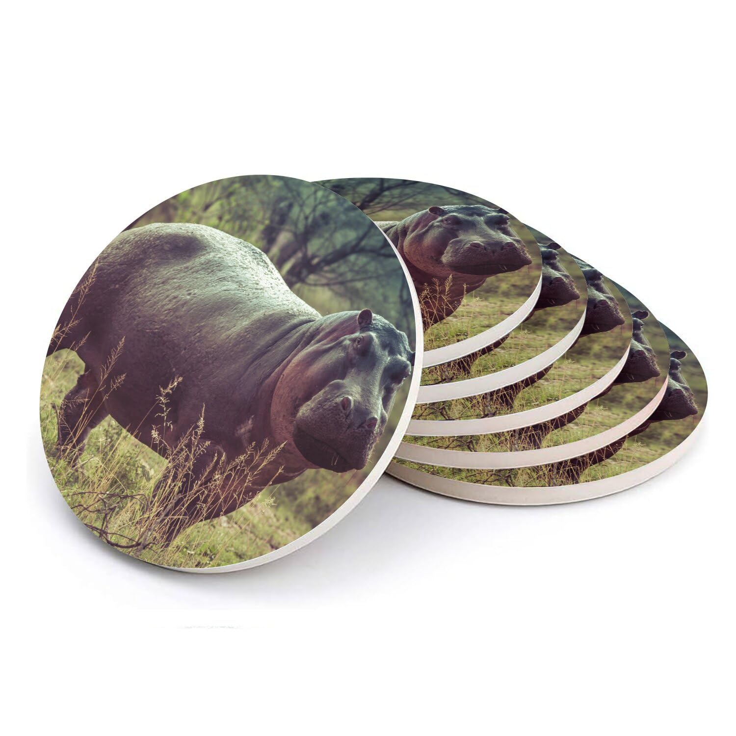 Sous verre ronds en céramique design animaux sauvages dessous de table nature