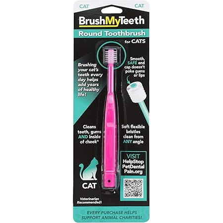 dog toothbrush target