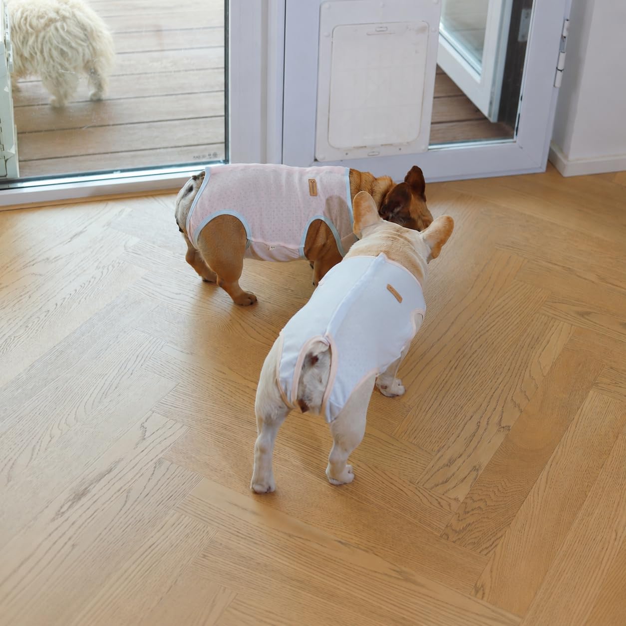 Tuta per recupero da chirurgia bulldog francese, morbida e traspirante, per post-operatorio, alternativa al collare eliscico, bendaggio per ferite, per sterilizzazione neutra (rosa, XXXXL)
