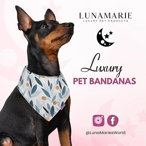 Miniatura 9 de LunaMarie - Bandana de lujo para perros pequeños medianos y grandes  Diseños especiales  Accesorios para perros  Accesorios para gatos  Suave y