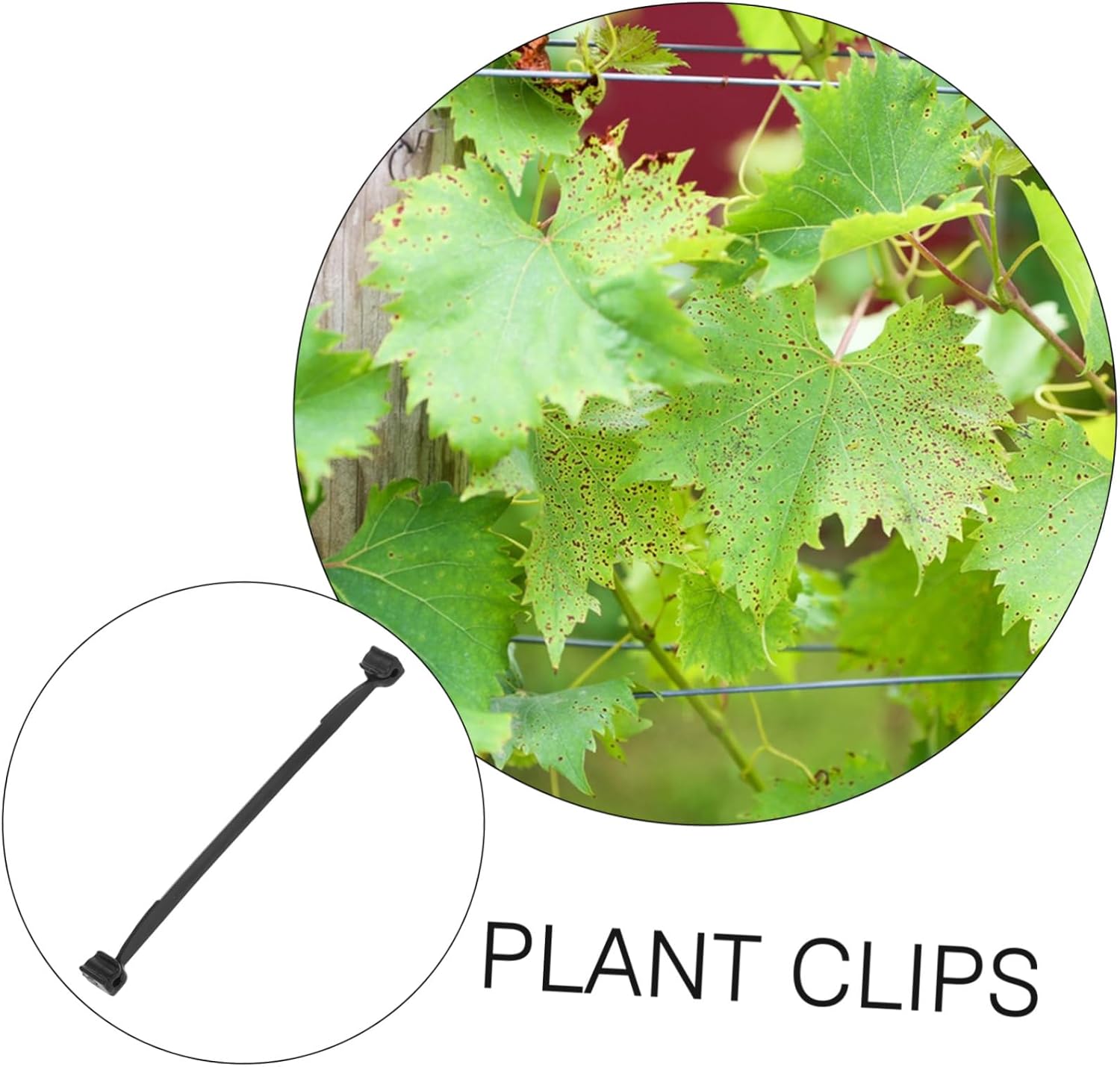 1bag Green Plastic Plant Support Clip Tie Branch Card Twisted Tie for Plant Cutting Support