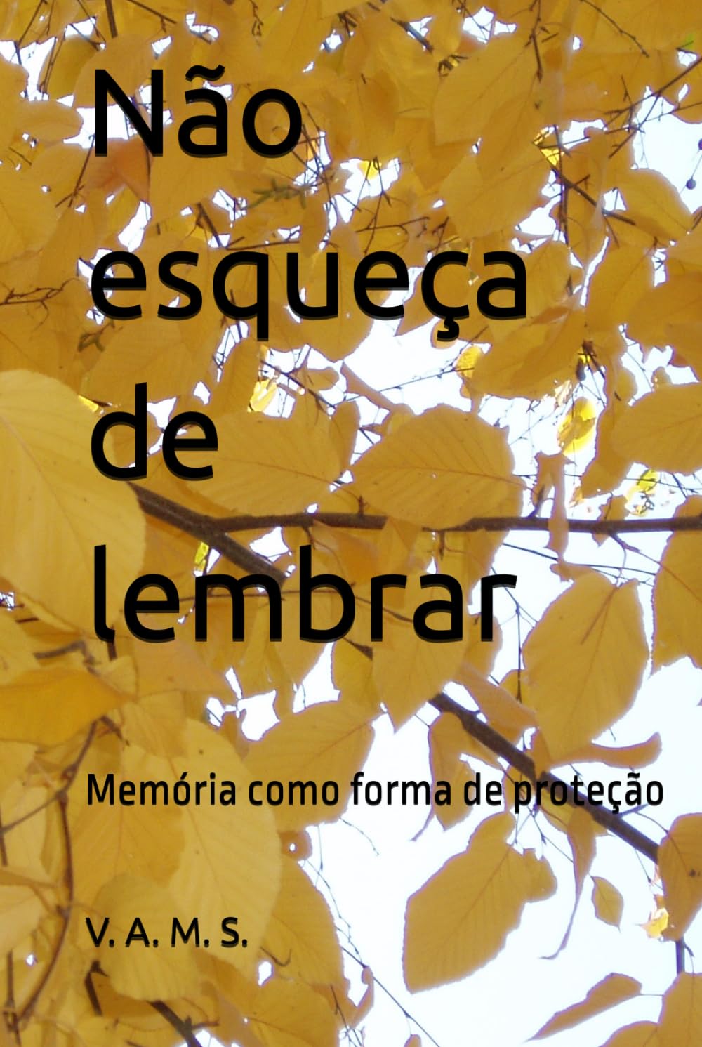 Não esqueça de lembrar: Memória como forma de proteção