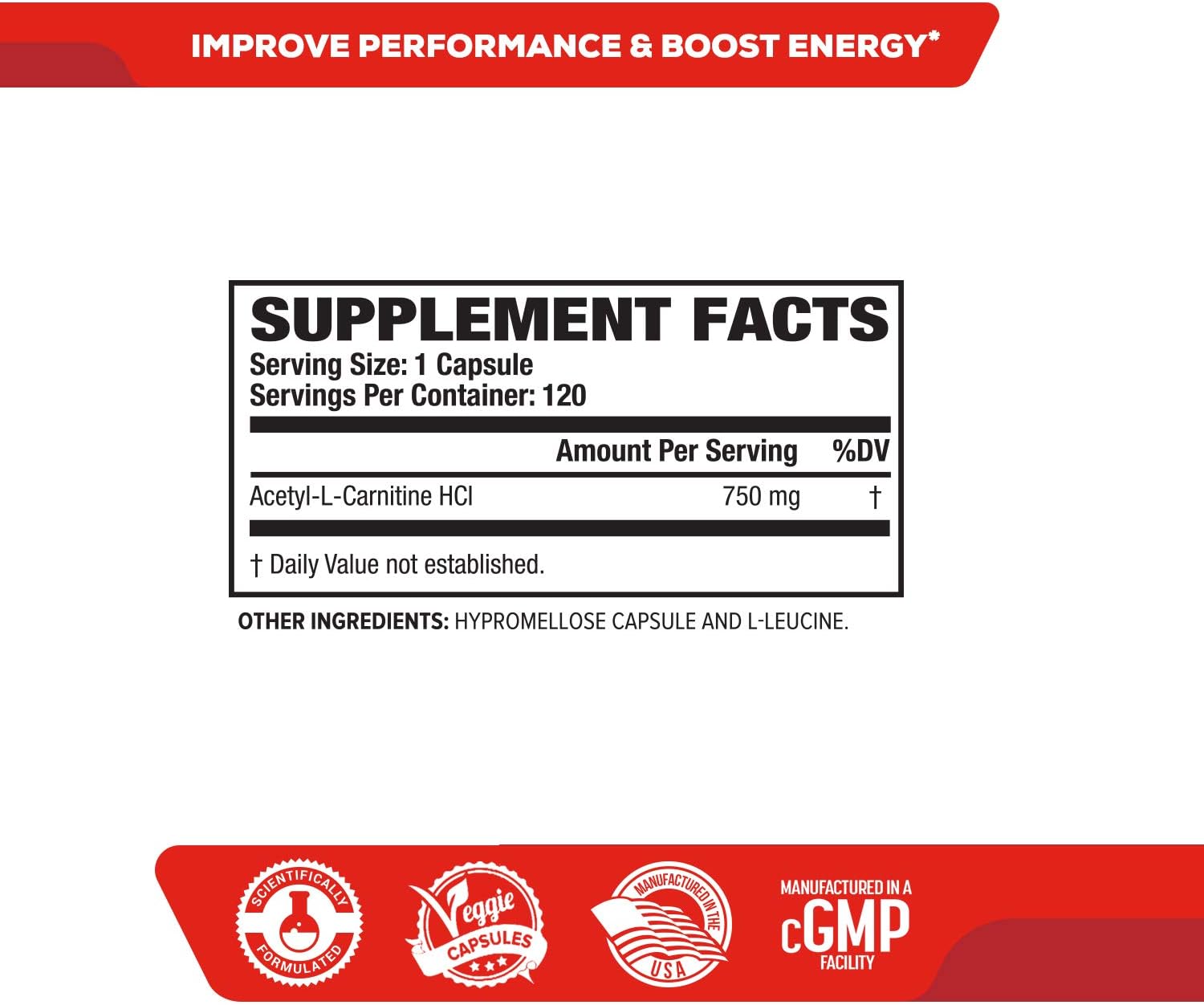 Acetyl L Carnitine 750mg Supplement - Extra Strength L-Carnitine (ALCAR) for Energy, Body Recomposition, Memory & More - Zero Fillers - 120 Non GMO Veggie Pills : Health & Household