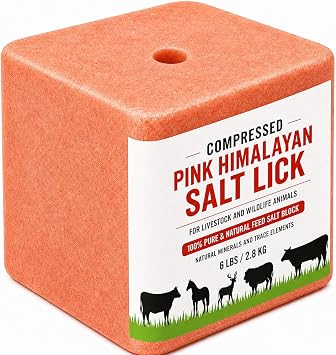 Compressed Pink Himalayan Salt Lick 4 to 5 lbs 100% Natural and Pure Feed Salt Block that Contains Trace Elements and Natural Minerals