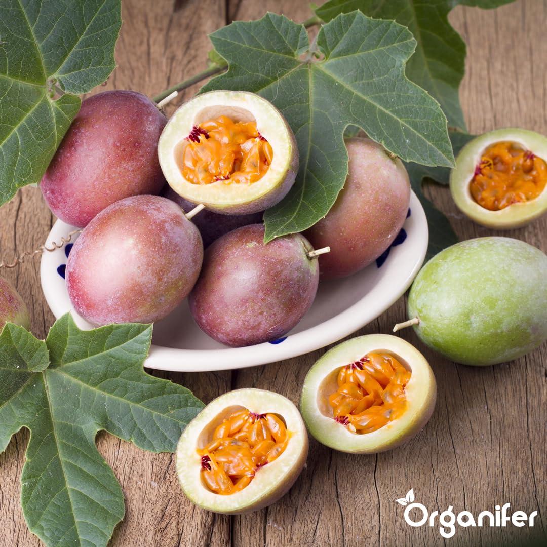 Passion Fruit Nawóz Organiczny Do Roślin Owocowych - 5x1L - NPK 2-1-8 | Zdrowe Liście - Silne Korzenie I Wysoka Plonność - Organifer