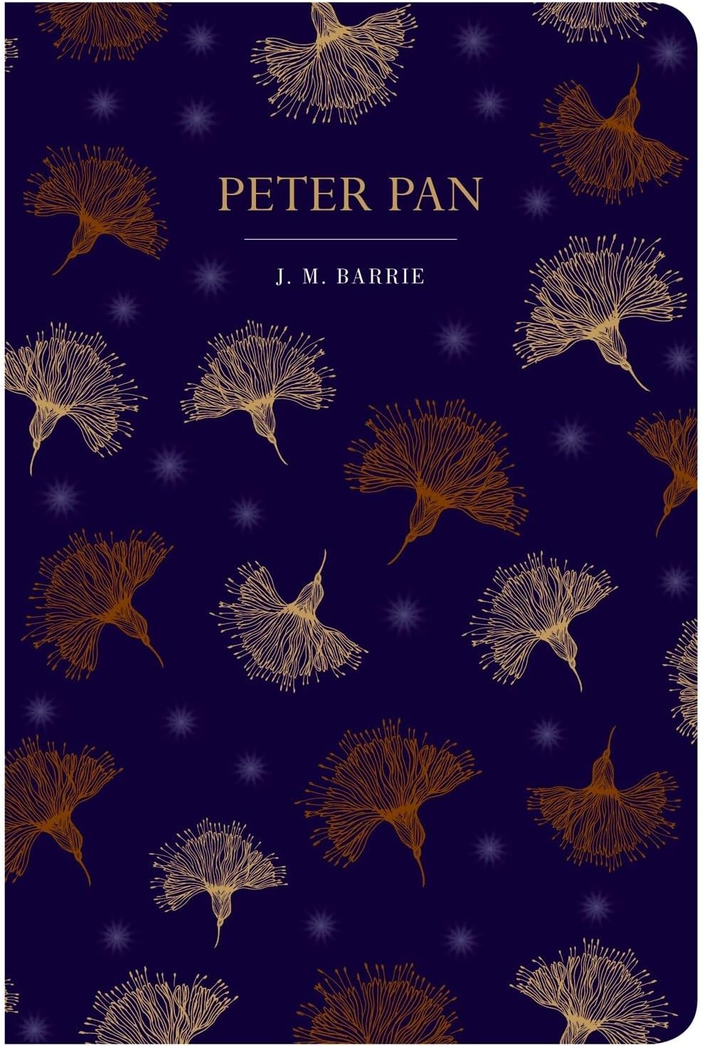 Peter Pan (Chiltern Classic) Hardcover – Import, 30 September 2021