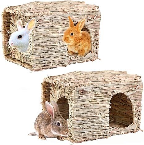 mini dog breeds list