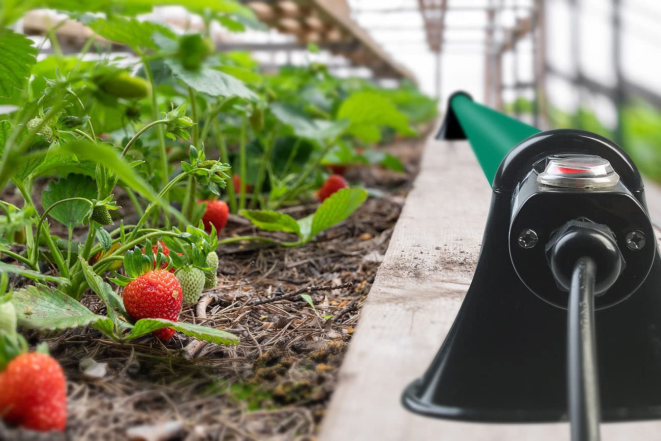 Radiateur électrique tubulaire pour serre de jardin - 135 W [Royal Gardineer]