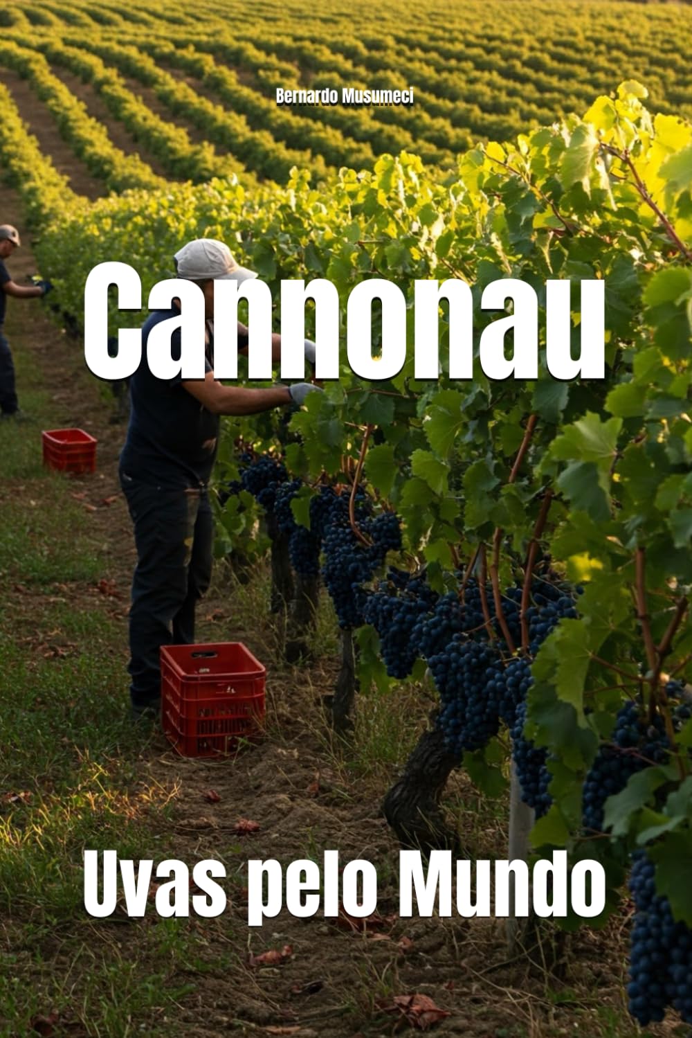 Cannonau: Uvas pelo Mundo (Wines of the World: Italy)