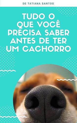 Tudo o que você precisa saber antes de ter um cachorro