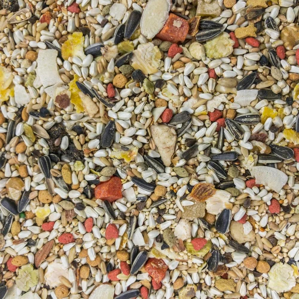 Sunburst Gourmet Blend Premium Conure Bird Food Mix, 3 lb (Pack of 2) – Natural Seeds, Grains & Treats in One