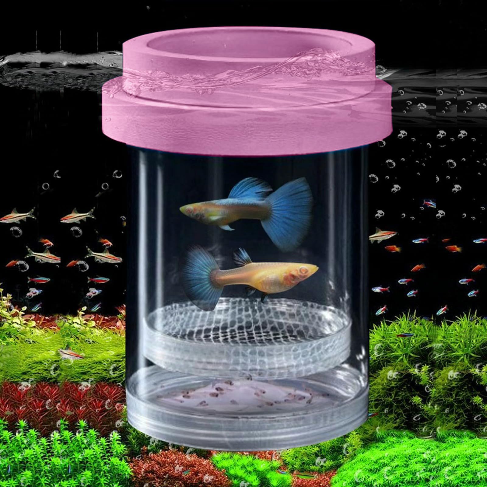 Breeder Box for Fish Tank, Plastic Aquarium Breeding Chamber, Floating Mesh Isolation Hatchery Incubator for Small Fish, Betta Shrimp Clownfish Guppy - Adjustable Nursery Tank Divider (Pink,Large)