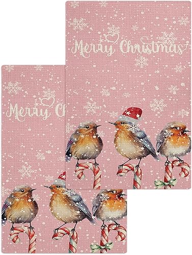 Kitchen Towel 2 Packs Cotton Waffle Weave, Merry Christmas Bird 16 x 24 Inch Absorbent Quick Drying Dish Towels Clothes for Kitchen Living Room