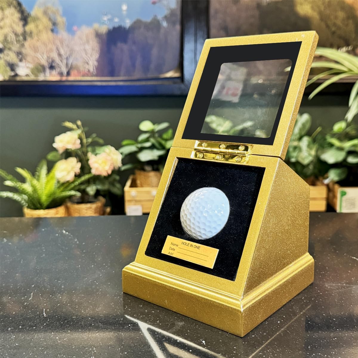 Hole in one Golf Ball Display case,writable Gold nameplate,Crafted with Premium Wood Composite and Thick Glass (Gold)