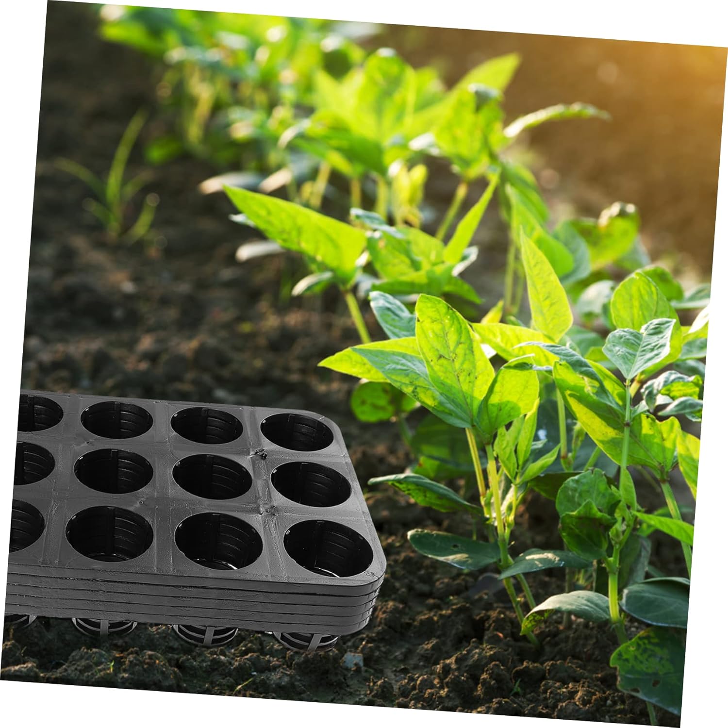 Garneck 5pcs Plant Germination Trays Cell Plastic Nursery Sowing Trays for Flower Seed Starting Lightweight Durable Material and Easy to Clean for Microgreens and Clones