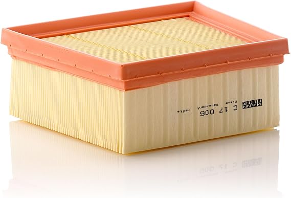 Mann-Filter Air Filter C 17 006 (Ford)