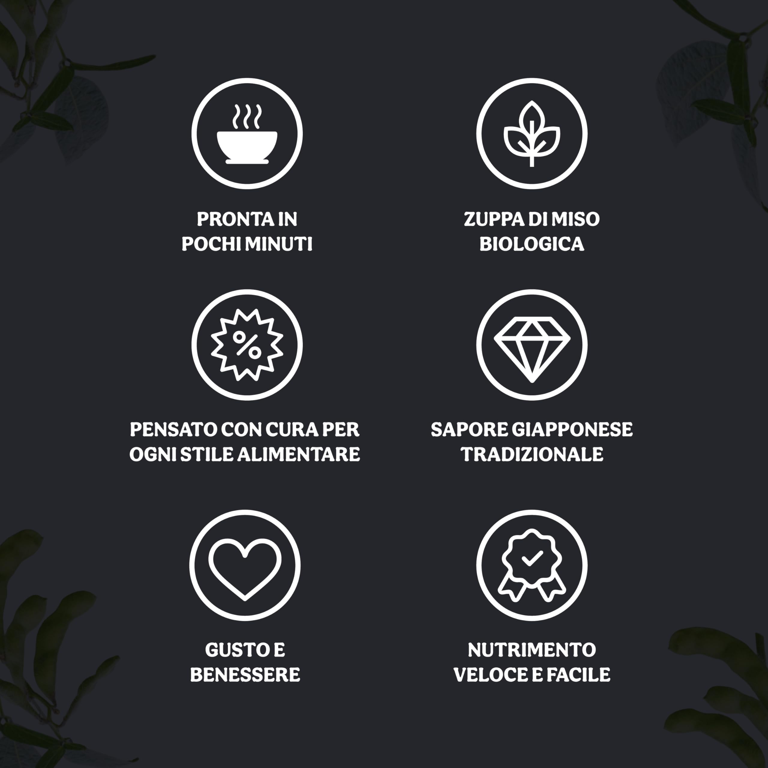 Probios Sopa de miso roja instantánea con algas Wakame bio embalaje (4x10g) 40g