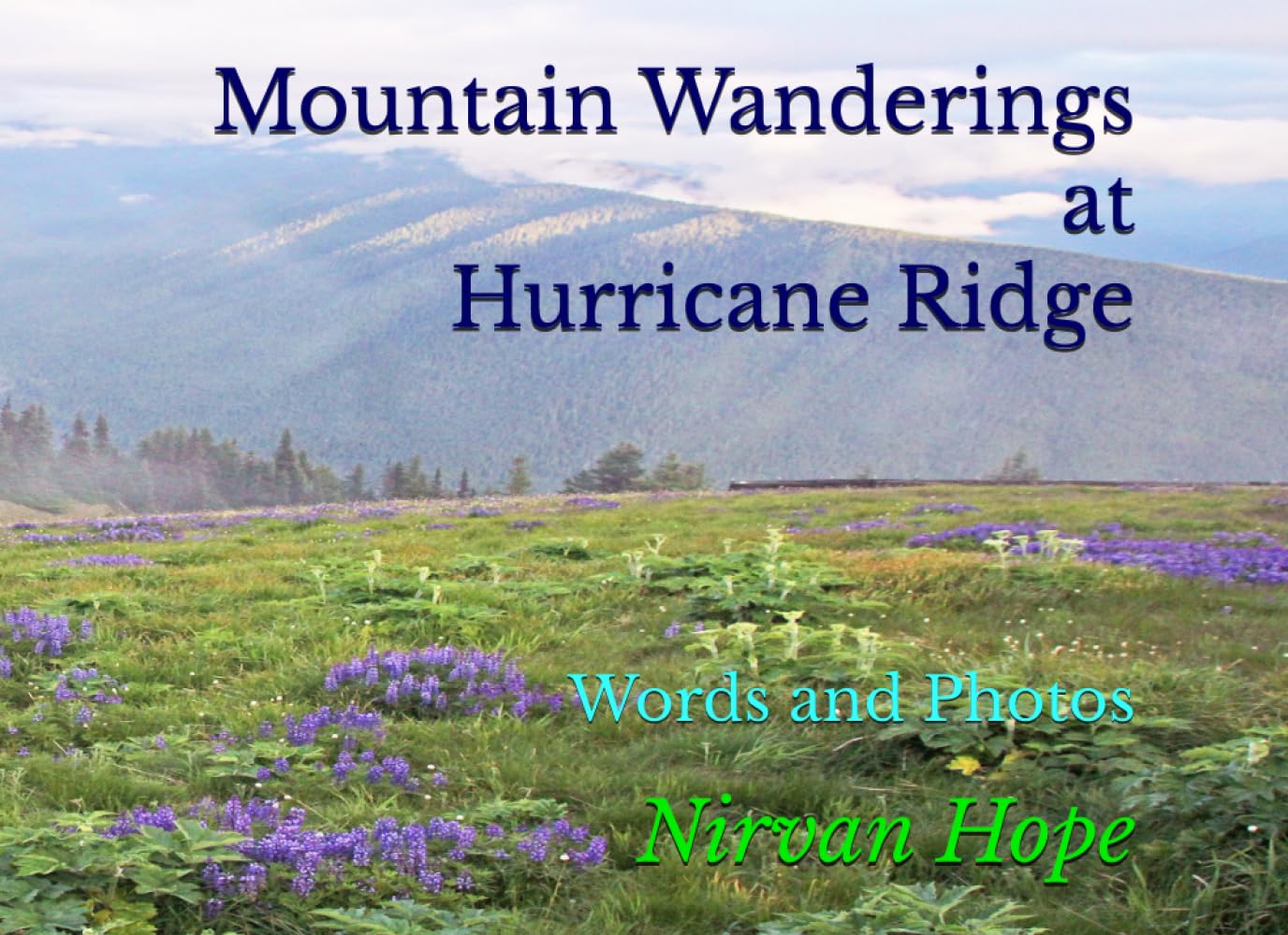 Mountain Wanderings at Hurricane Ridge: Words and Photos