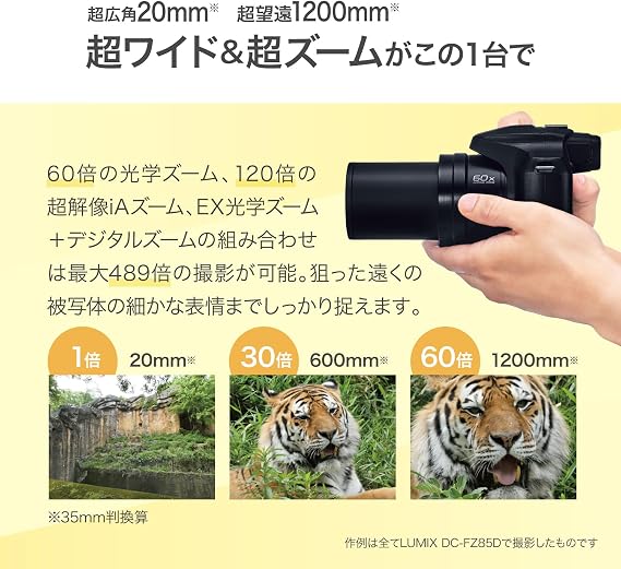 Panasonic LUMIX Digital Camera Optical 60x Zoom Compatible DC-FZ85D-K Black