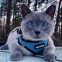 Vista 8 de Best Pet Supplies - Arnés de malla para todo tipo de clima, reflectante, antitirones, para perros y gatos pequeños y medianos, con velcro, hebilla