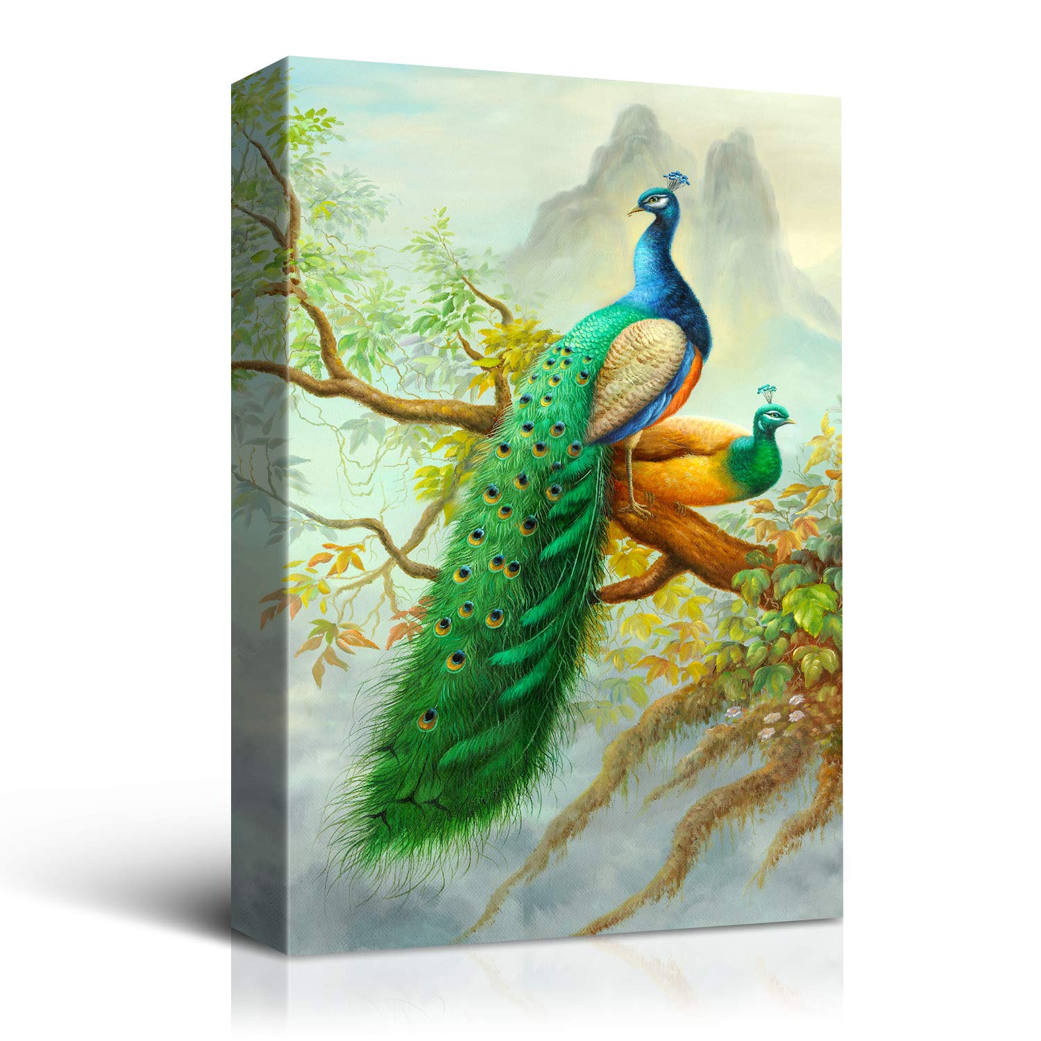 Amazon.com: Denozer - Peacock Paintings Canvas Wall Art Peacock