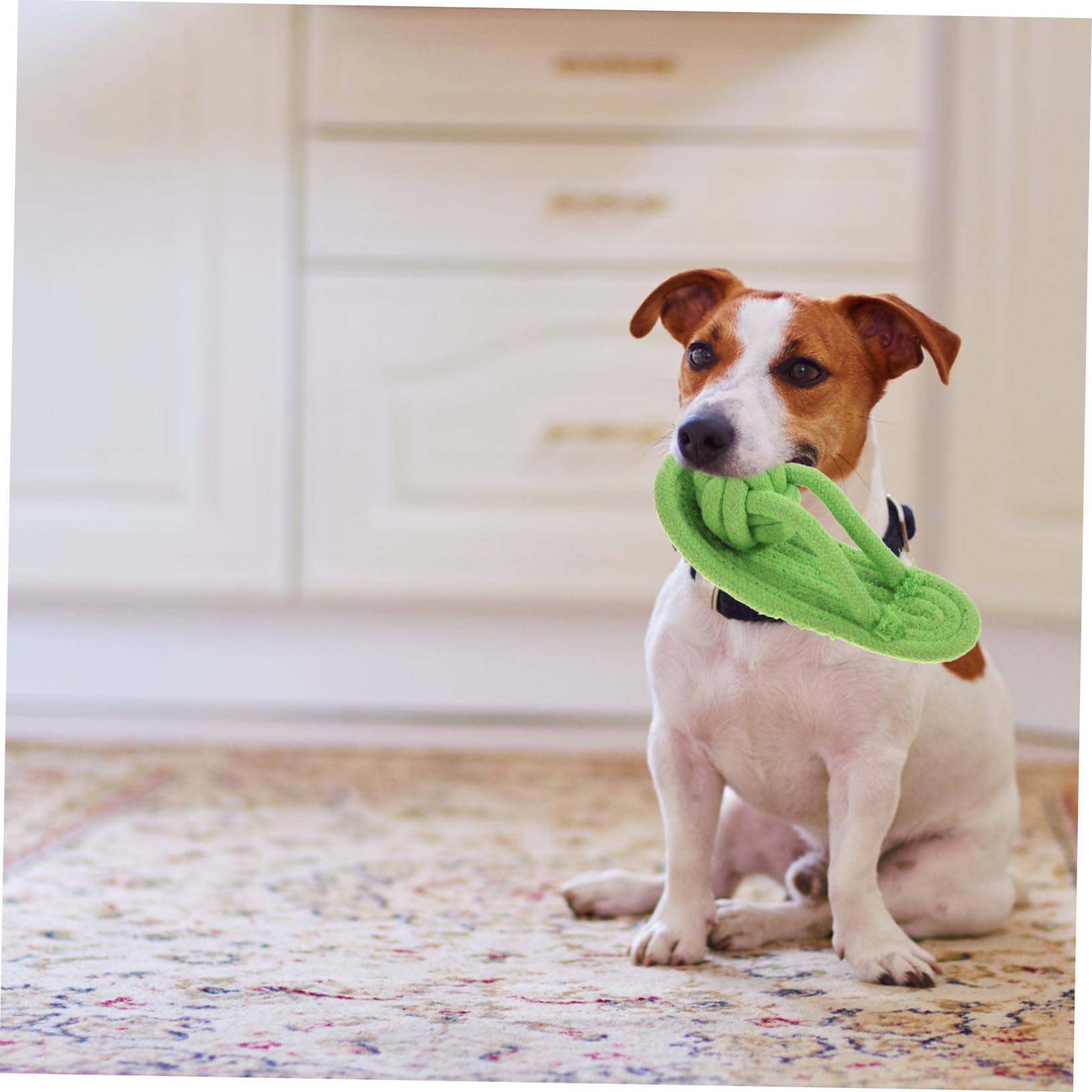 Yardwe Rope Slippers for Dogs Pet Teething Toys Made from Cotton Chewing Toys for Puppies Random