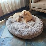 Coohom Oval Calming Donut Cuddler Dog Bed,Shag Faux Fur Cat Bed Washable Round Pillow Pet Bed(30"/36"/43") for Medium Dogs (XL(36"x27"x7"),Light Brown)
