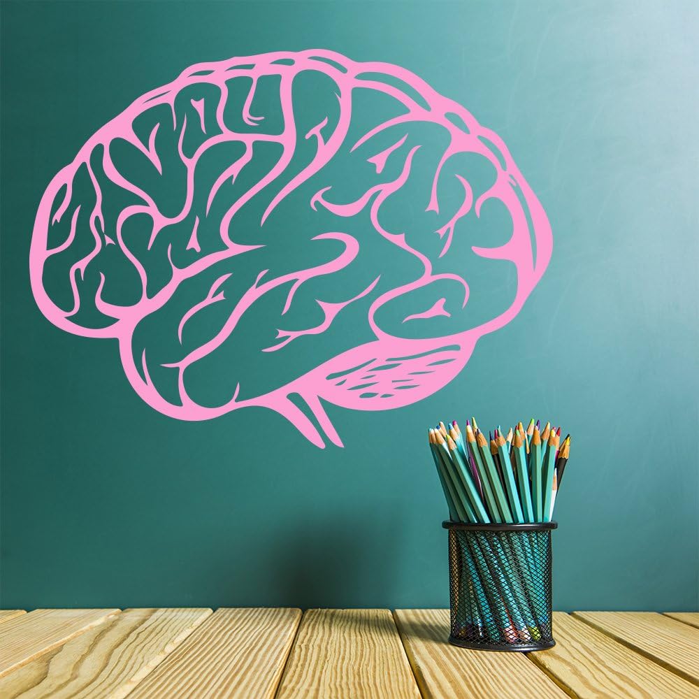 azutura Human Brain Science Wall Sticker available in 5 Sizes and 25 Colours Cloud Grey