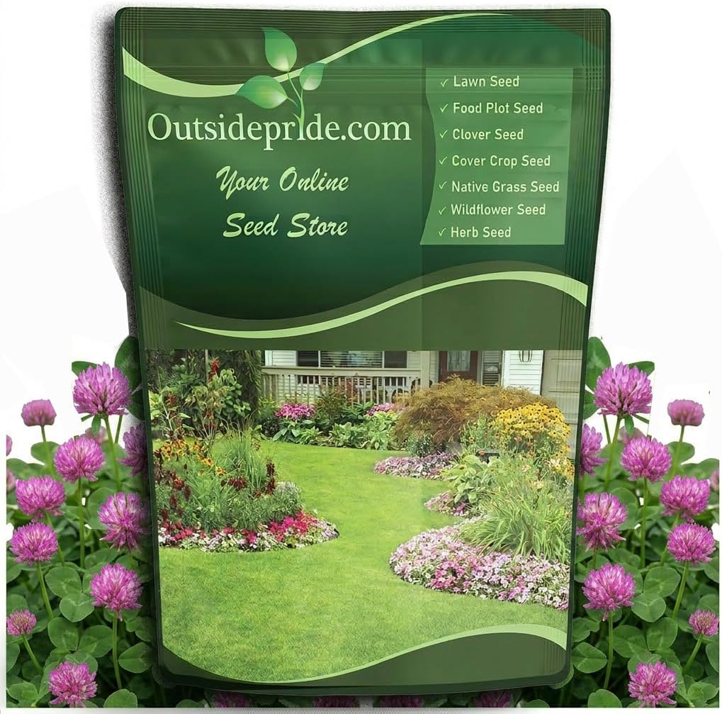 Outsidepride Perennial Red Clover Seeds - 1/4 lbs. Self-Seeding, Nitrocoated, Inoculated Clover Seeds for Lawn, Yard, Forage, Pasture, Hay, Nitrogen Fixation, Soil Improvement & Crop Rotation Programs