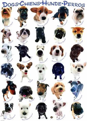 Vista 290 de EuroGraphics - Rompecabezas Hermoso Cabello, 100 piezas