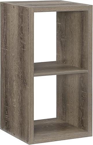 Linon Home Decor Linon Dawes - Armario de almacenamiento con 2 compartimientos, color gris Gris,Gris 4,Blanco,2-Blanco,Blanco 6