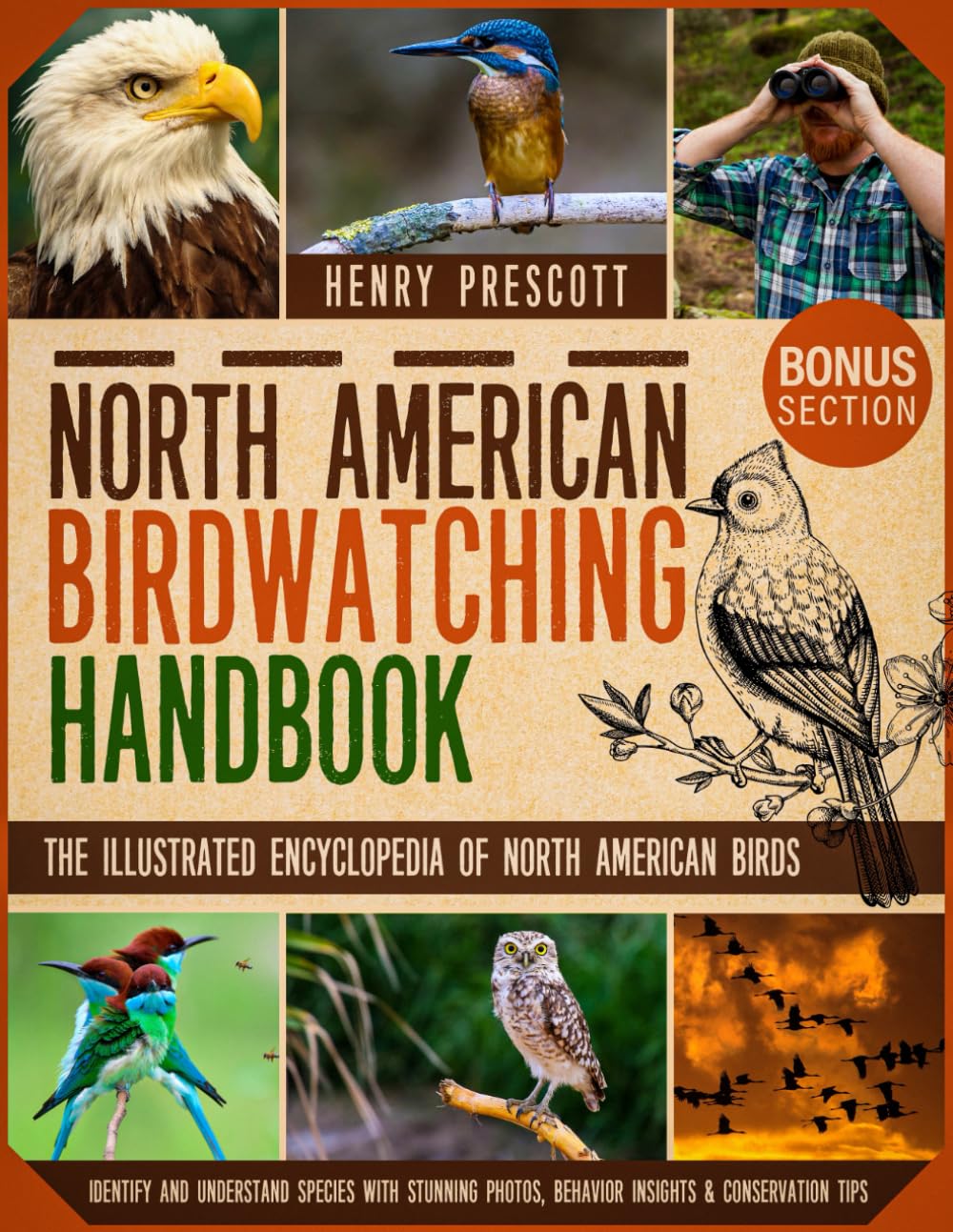 North American Birdwatching Handbook: The Illustrated Encyclopedia of North American Birds | Identify and Understand Species with Stunning Photos, Behavior Insights & Conservation Tips