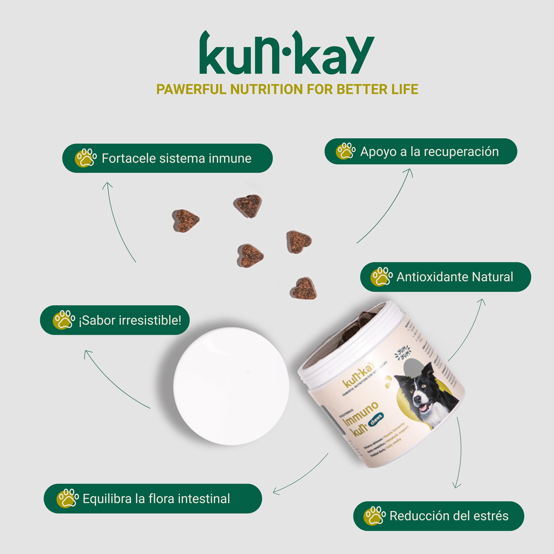 ImmunoKun - Probiotici per supporto digestivo per cani, 60 masticazioni | Premi sani, beta-glucani per rafforzamento immunitario, supporto digestivo e leishmaniasi, senza sostanze chimiche
