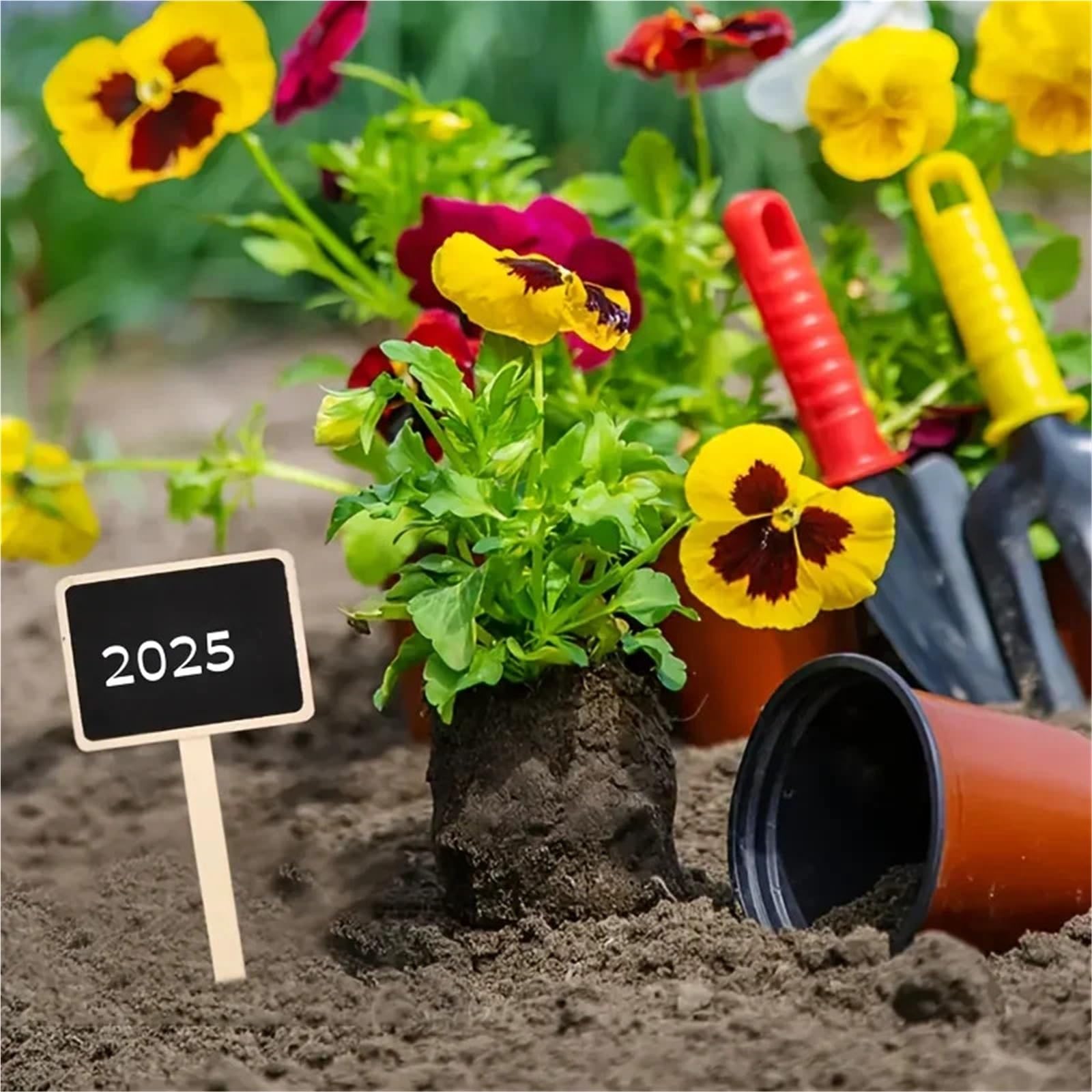 Lot de 100 étiquettes rustiques en bois pour plantes en forme de T, tableau noir, tableau à message à fixer au sol