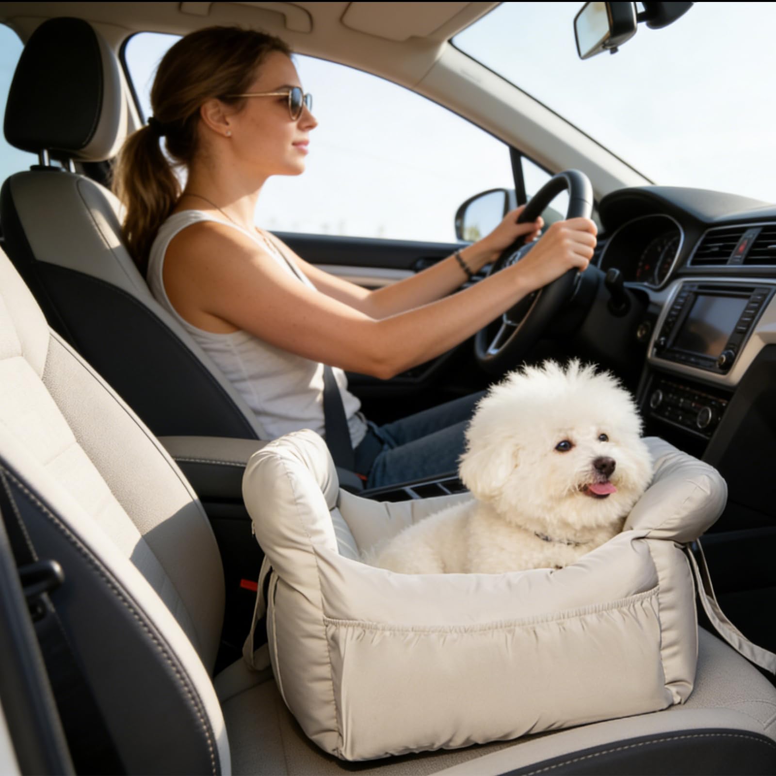 Galatée Seggiolino Auto Per Animali, Seggiolino Auto Per Cani, Borsa Per Cani Con Corda Di Sicurezza, Borsa Trasportino Alla Moda Per Animali Con Ampie Tasche(Grigio)