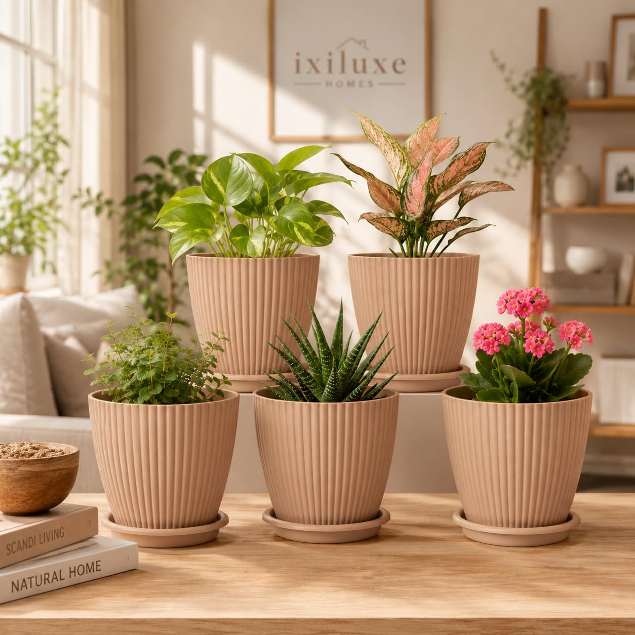 Light Brown Flower Pots Set of 5 - Modern Plant Planters -1 Light Brown Flower Pots Set of 5 - Modern Plant Planters -1