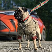 Vista 5 de HQREA Sudadera con capucha para perro, ropa de lujo para perro, chaqueta de invierno para perro, ropa clásica para mascotas, abrigo de bulldog