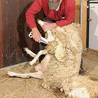 Vista 3 de Premier 1 - Cizalla manual de tierra triple para ovejas y ganado de lana, hoja de 6.5 pulgadas