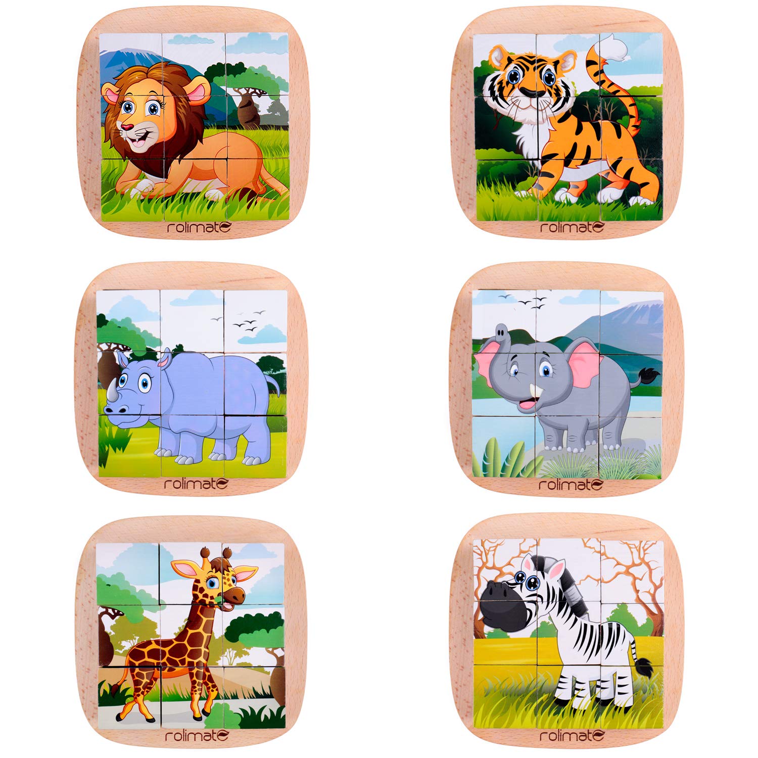 JOINPAYA 3D-Puzzle Ameisen Set - 6-teiliges Lernspielzeug Für Kinder