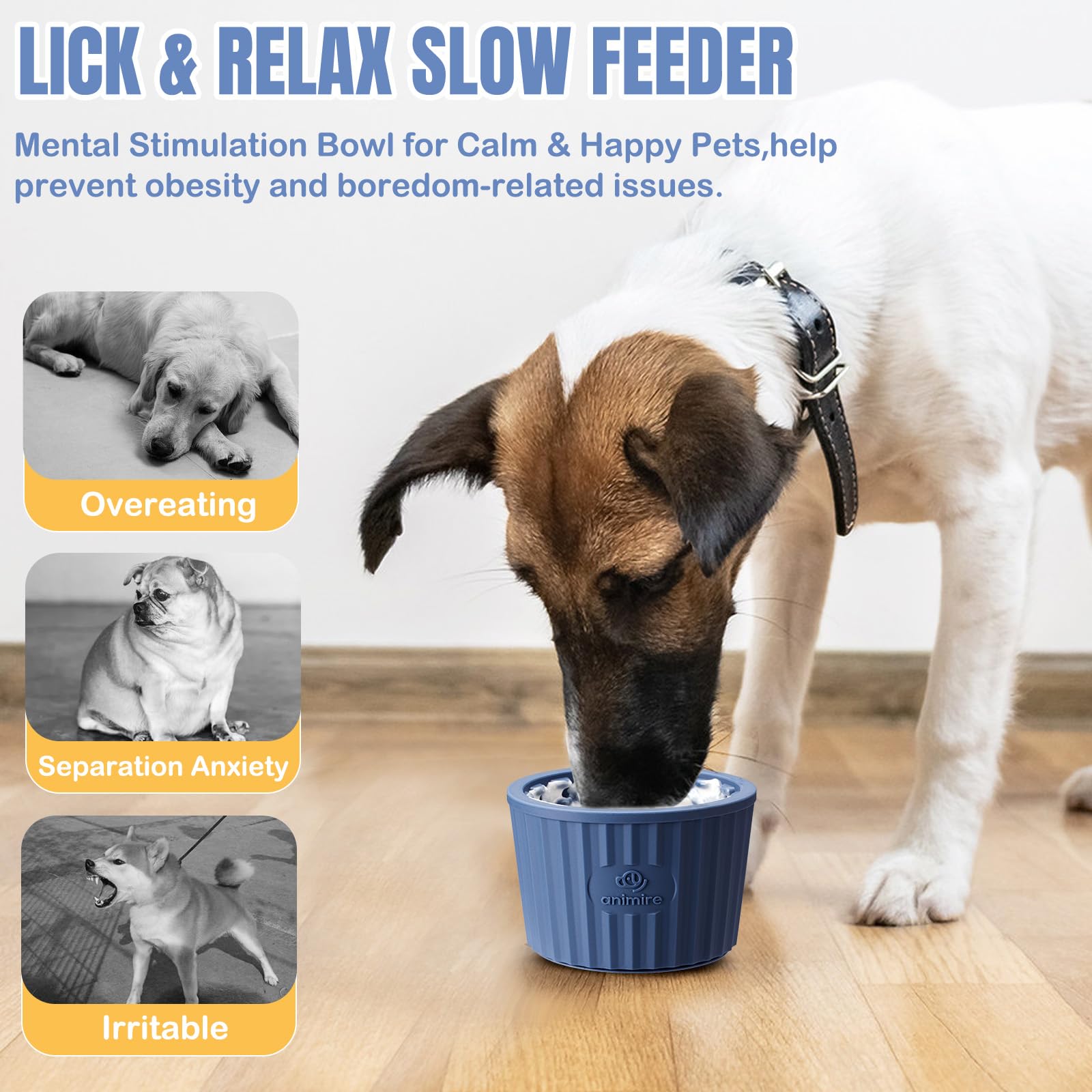 lick2.0 Deep Blue-M-L