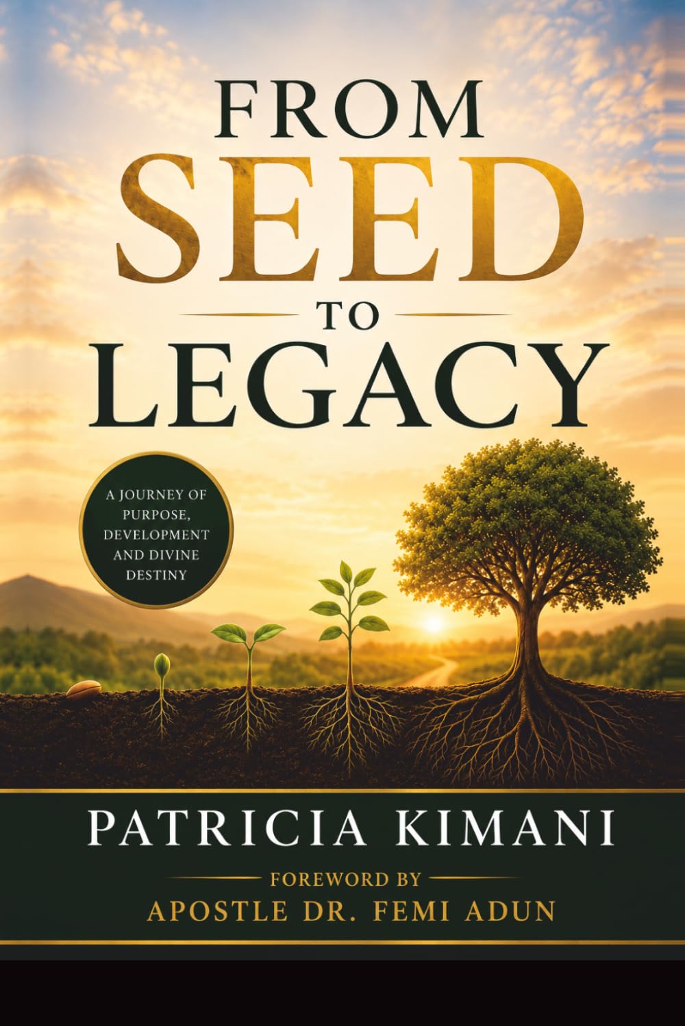 FROM SEED TO LEGACY: Understanding God's Process from Conception to Manifestation and Beyond