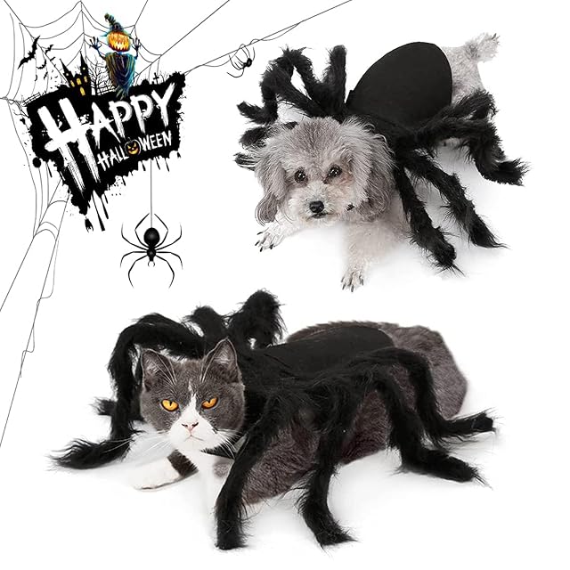 BRONG - Disfraz de Halloween para gatos y perros pequeños, ajustable, para Halloween, cosplay, decoración…