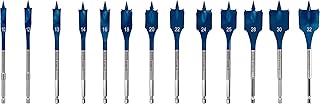 Bosch Professional 13 pc. Expert SelfCut Spee...,