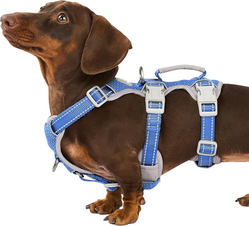 Peitoral Vest para Cães Huntboo com Alça, Refletivo e Ajustável Vista Blue (S)