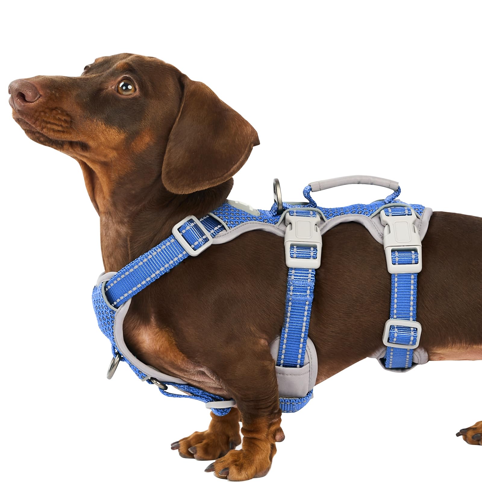 Amazon | Huntboo 犬用脱出防止ハーネス、逃げない犬用ハーネス、小型