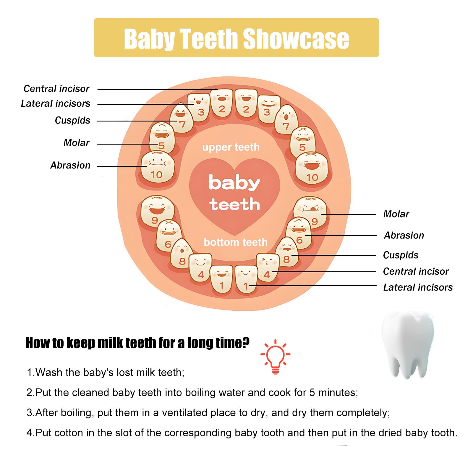 Scatola Per Denti Di Latte In Legno - Con Cornice Foto, Ricordo Per Bambini - Foto 10