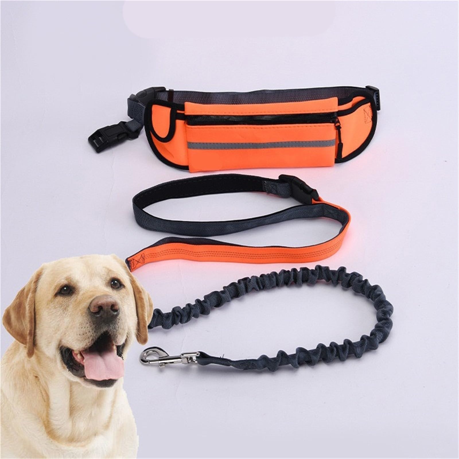 Cinturón de tracción para Perros Durante la Carrer Cinturón Manos Libres for Perros for Correr, Caminar, con riñonera, cinturón elástico retráctil y Cuerda de tracción(Blue)